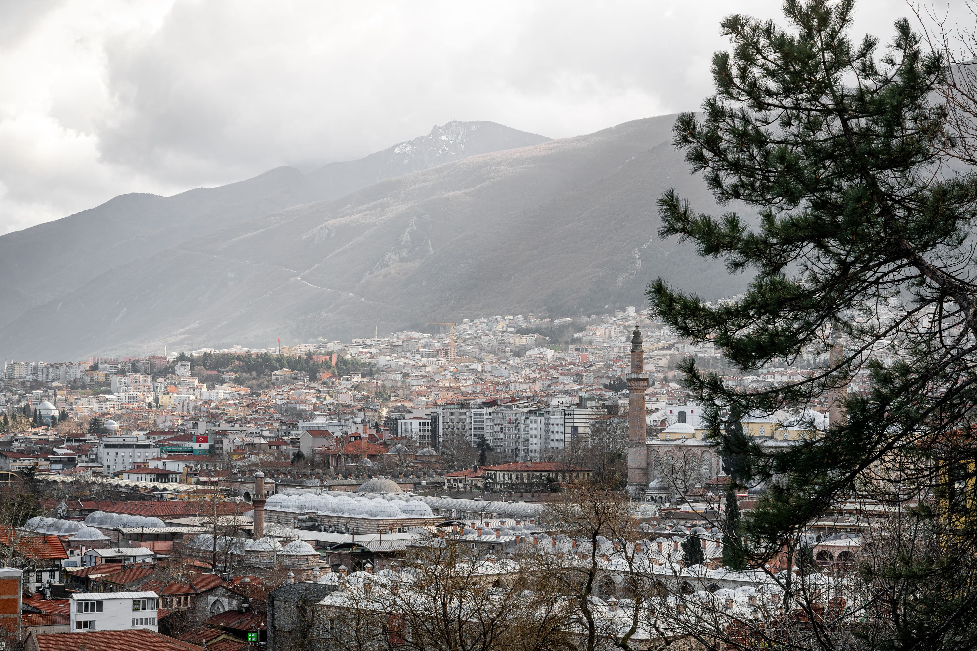 Bursa